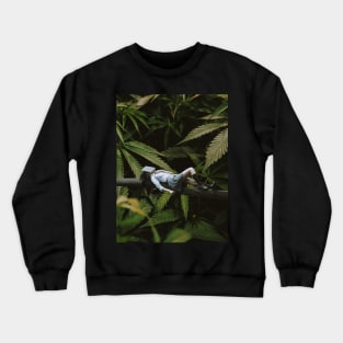 Just relax Crewneck Sweatshirt